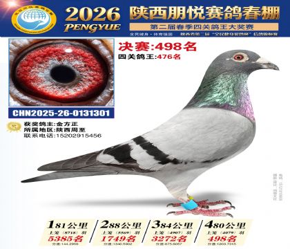 陕西朋悦决赛498名