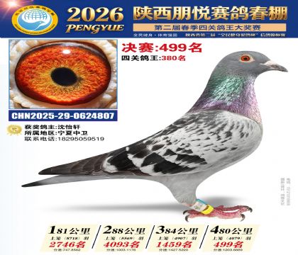 陕西朋悦决赛499名