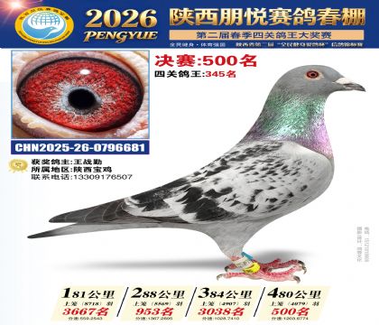 陕西朋悦决赛500名