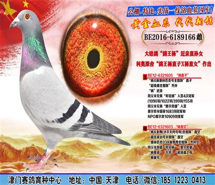 母亲