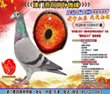 母亲