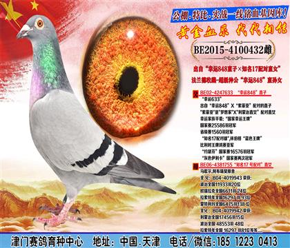 母亲