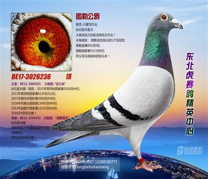 父亲