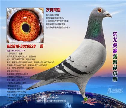 母亲