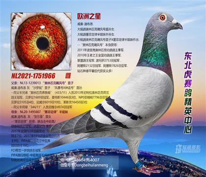 母亲