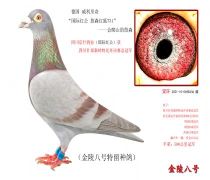 7,德国 威利里奇“国际红公 詹森红狐731”-会爬山的詹森