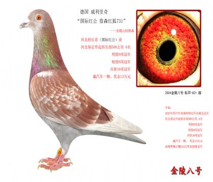 8,德国 威利里奇“国际红公 詹森红狐731”-会爬山的詹森