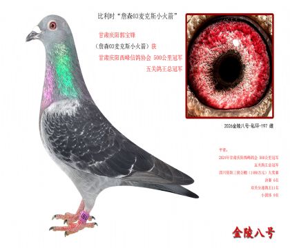9,比利时“詹森03麦克斯小火箭”