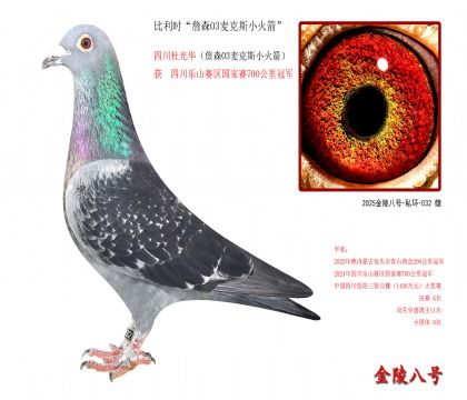 10,比利时“詹森03麦克斯小火箭”