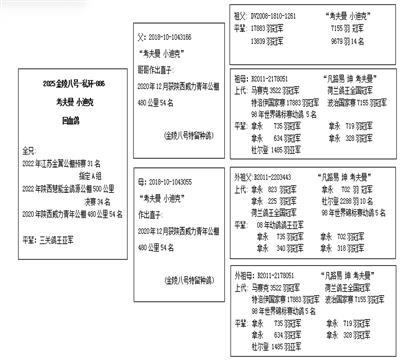 血统表