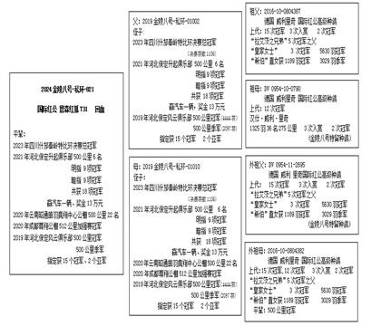 血统表