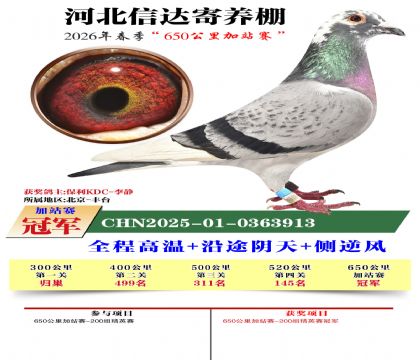 河北信达加站赛冠军