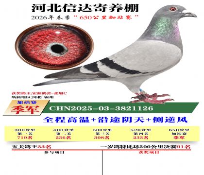 河北信达加站赛季军