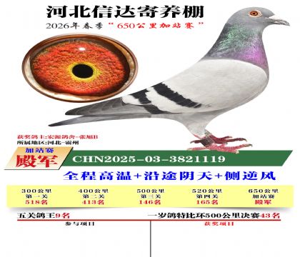 河北信达加站赛4名
