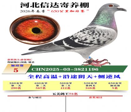 河北信达加站赛5名