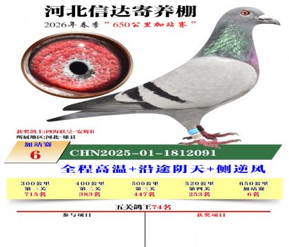 河北信达加站赛6名