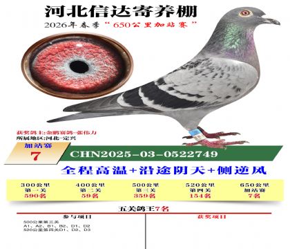 河北信达加站赛7名