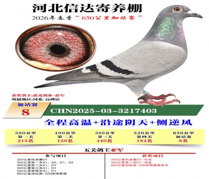 河北信达加站赛8名