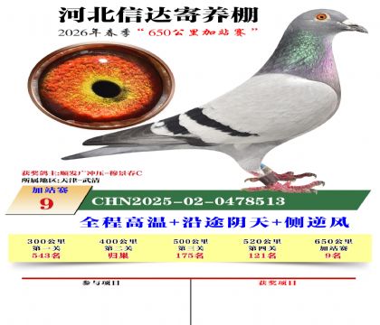 河北信达加站赛9名