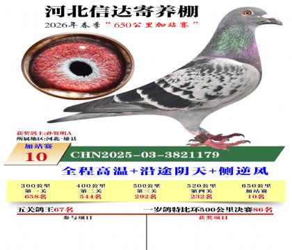 河北信达加站赛10名