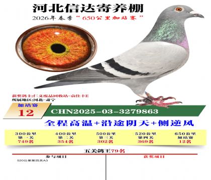 河北信达加站赛12名