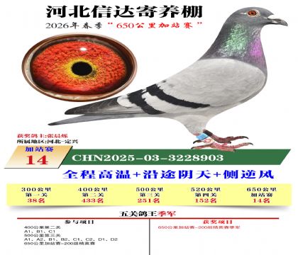 河北信达加站赛14名