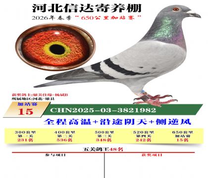 河北信达加站赛15名