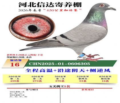 河北信达加站赛16名