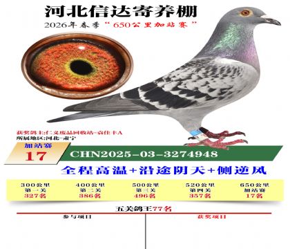河北信达加站赛17名