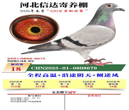 河北信达加站赛18名