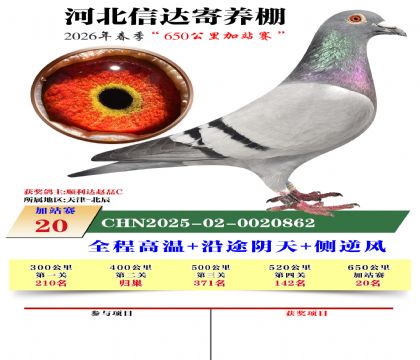 河北信达加站赛20名