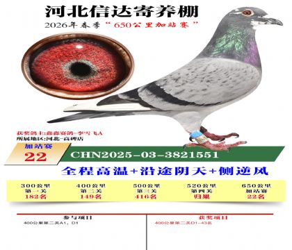 河北信达加站赛22名