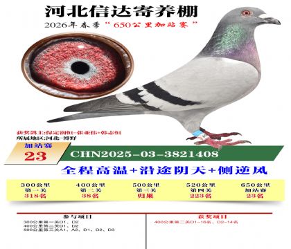河北信达加站赛23名