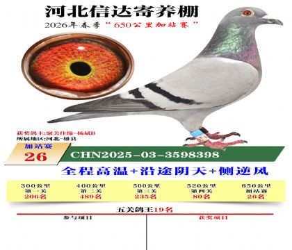 河北信达加站赛26名