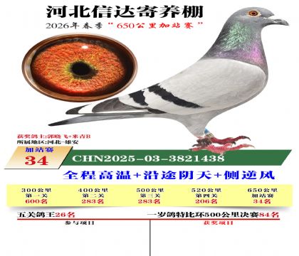 河北信达加站赛34名