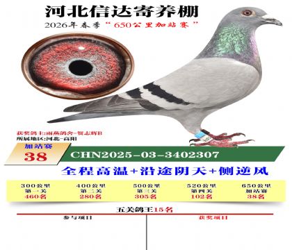 河北信达加站赛38名