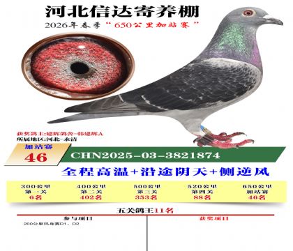 河北信达加站赛46名