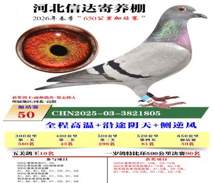 河北信达加站赛50名