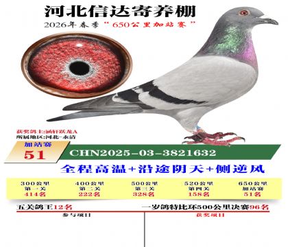 河北信达加站赛51名