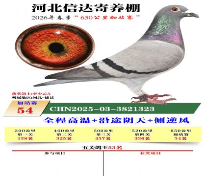 河北信达加站赛54名