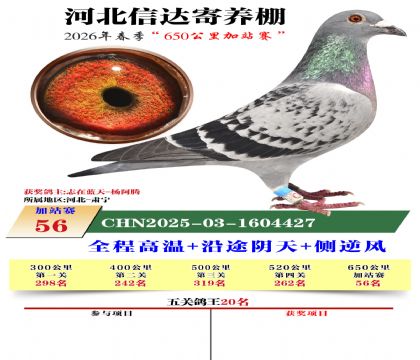 河北信达加站赛56名