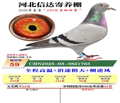 河北信达加站赛59名