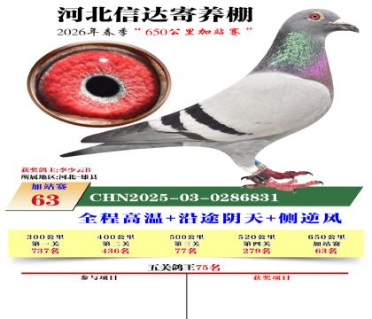 河北信达加站赛63名