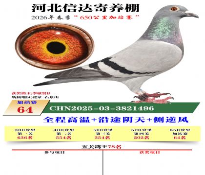 河北信达加站赛64名
