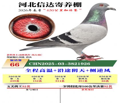 河北信达加站赛66名