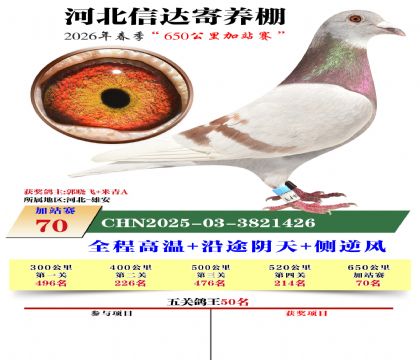 河北信达加站赛70名