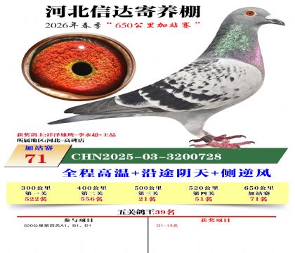 河北信达加站赛71名