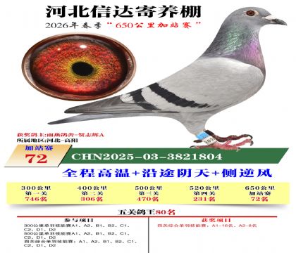 河北信达加站赛72名