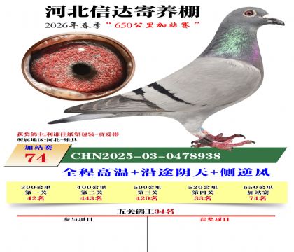 河北信达加站赛74名