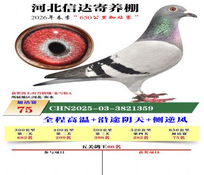 河北信达加站赛75名